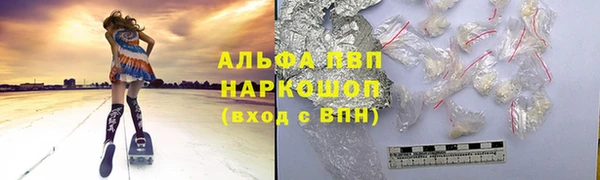 индика Горно-Алтайск